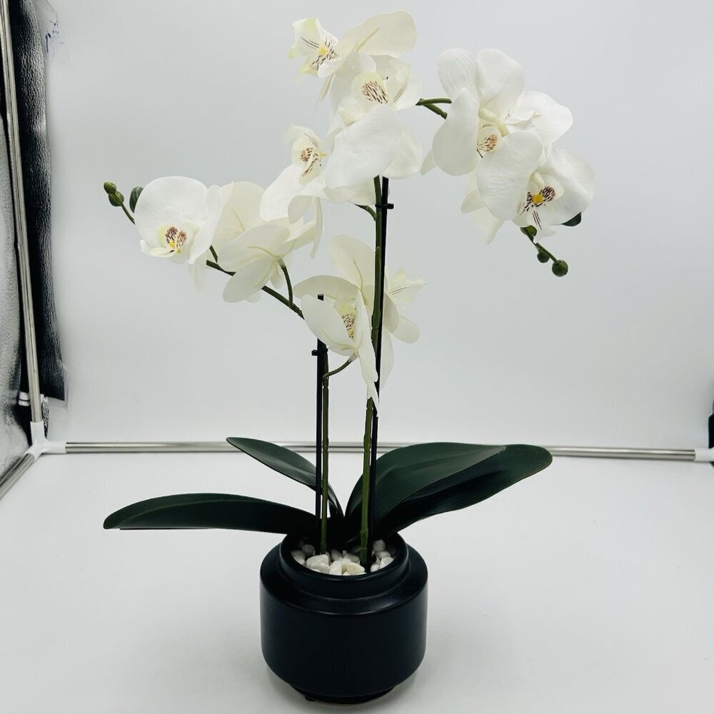 White Phalaenopsis 19" Orchid Artificial Flowers with Black Vase Arrangement - Picture 7 of 9